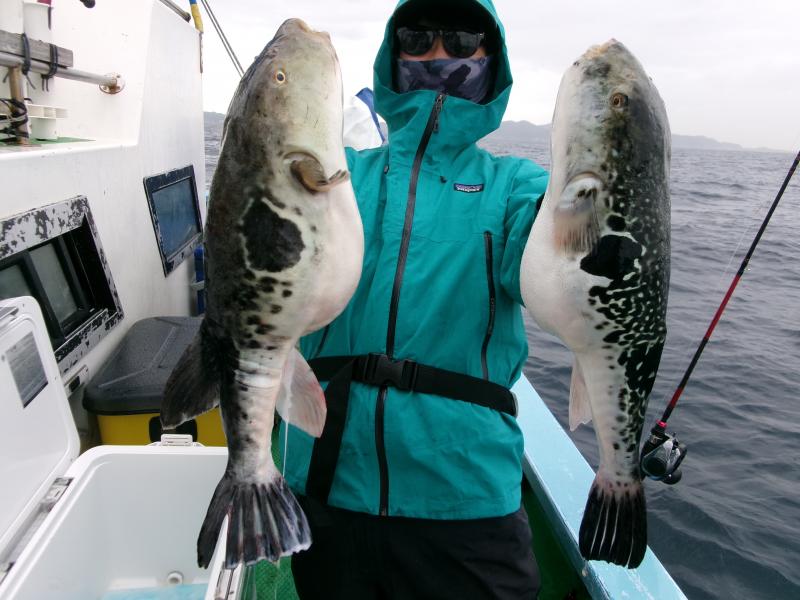 とらふぐ釣り4枚目