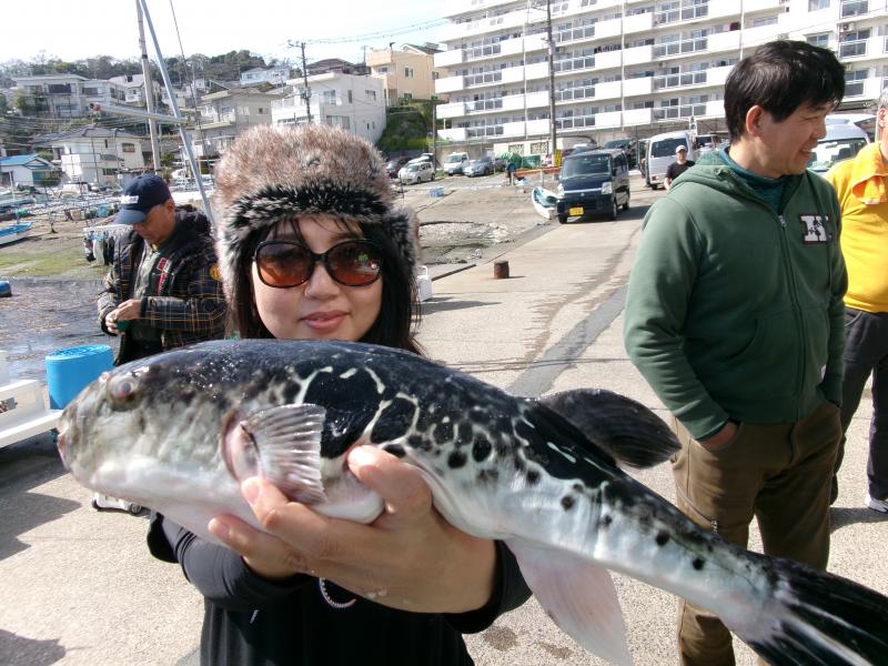 とらふぐ釣り好調です！！4枚目