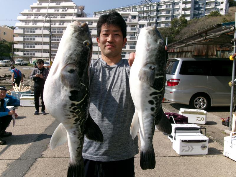 とらふぐ釣り1枚目