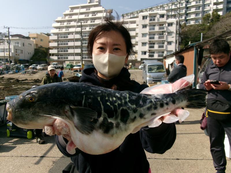 とらふぐ釣り3枚目
