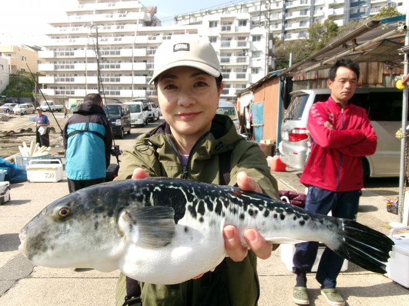 とらふぐ釣り4枚目