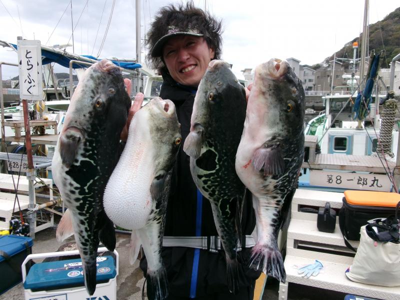 とらふぐ釣り好調です！！2枚目