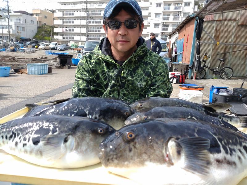 とらふぐ釣り好調です！！1枚目