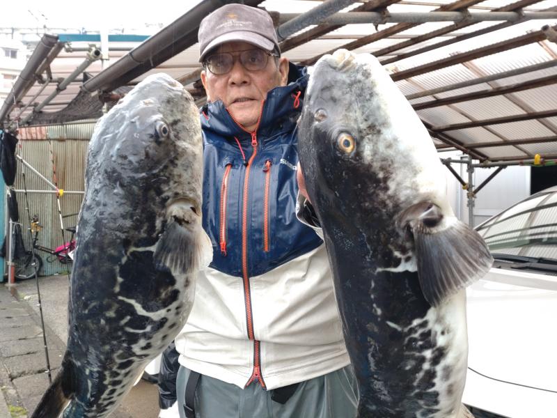 とらふぐ釣り2枚目