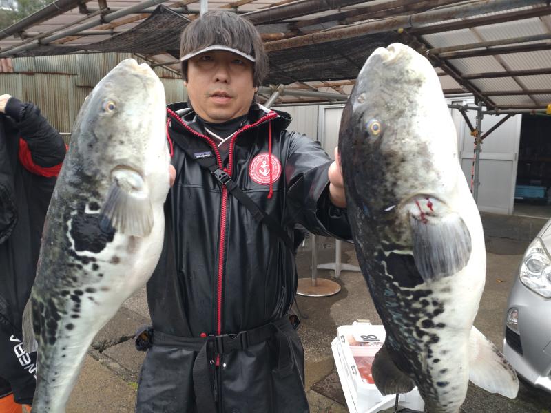 とらふぐ釣り3枚目