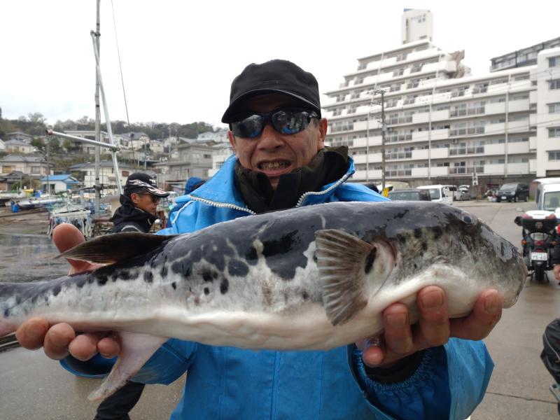 とらふぐ釣り4枚目