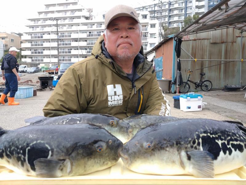 とらふぐ釣り好調です！！1枚目