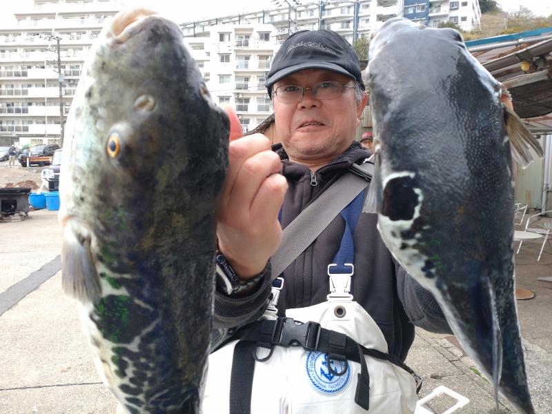 とらふぐ釣り好調です！！2枚目