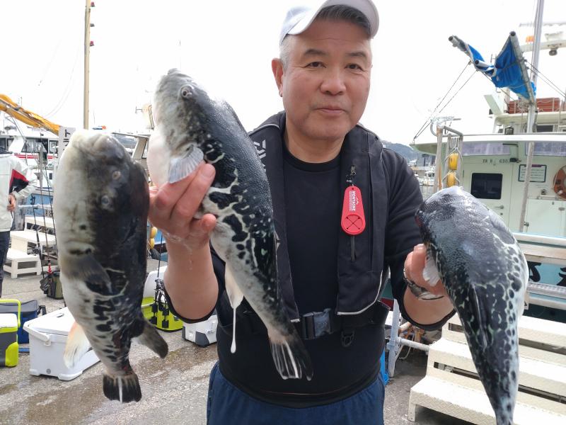 とらふぐ釣り好調です！！3枚目
