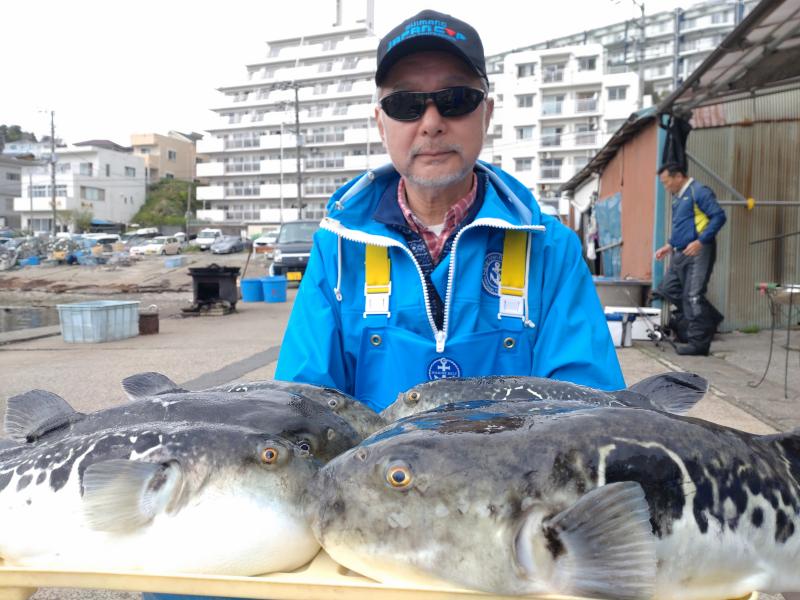 とらふぐ釣り好調です！！1枚目