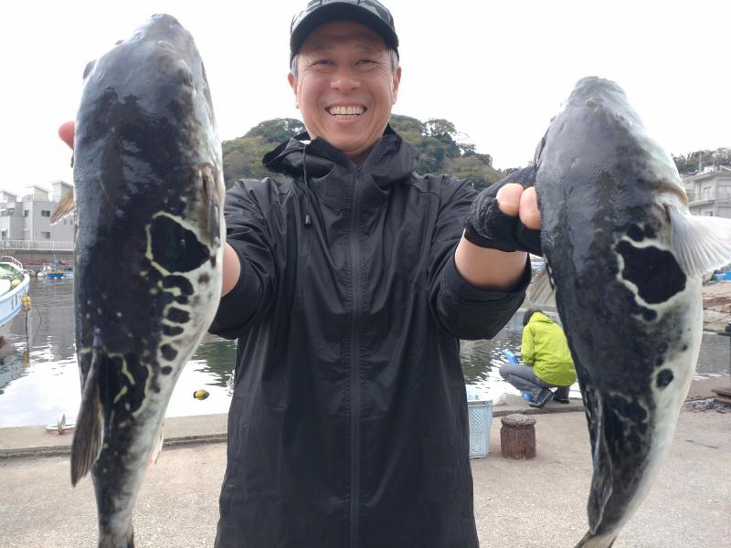 とらふぐ釣り好調です！！3枚目