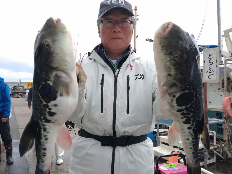 とらふぐ釣り好調です！！4枚目