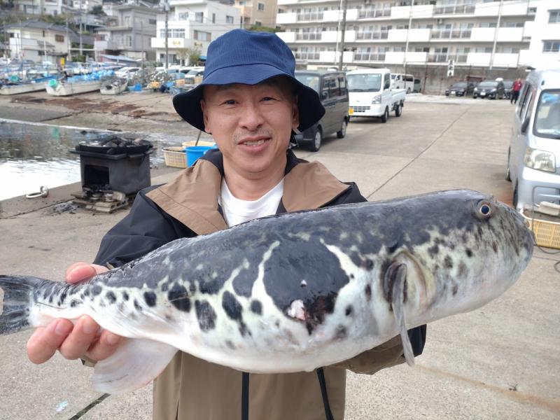 とらふぐ釣り好調です！！5枚目