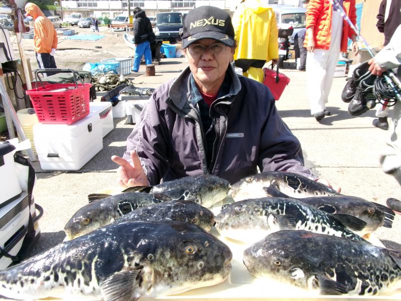 とらふぐ釣り好調です！！1枚目