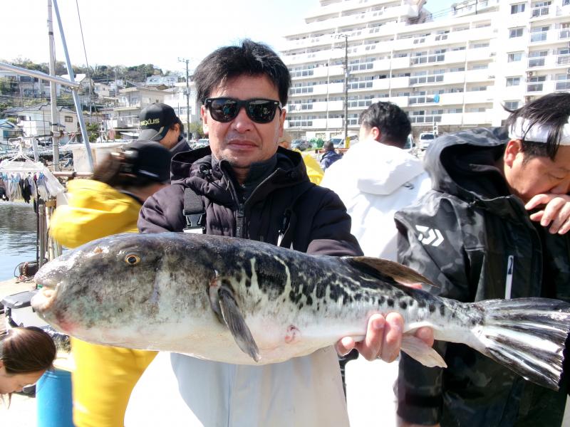 とらふぐ釣り好調です！！3枚目