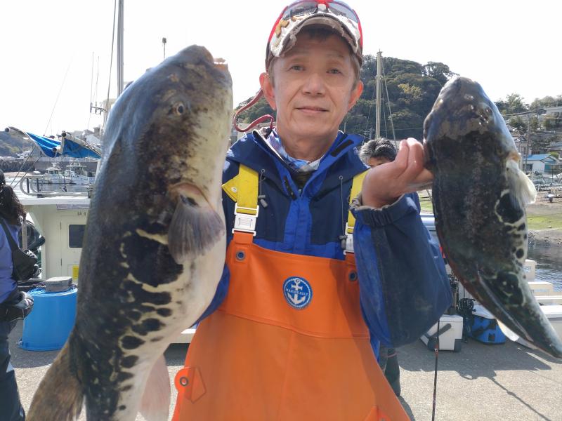 とらふぐ釣り好調です！！3枚目