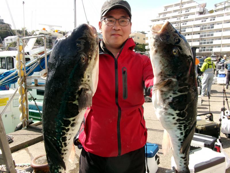 とらふぐ釣り好調です！！5枚目