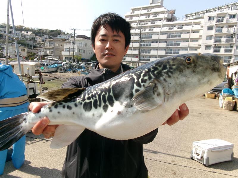 とらふぐ釣り3枚目