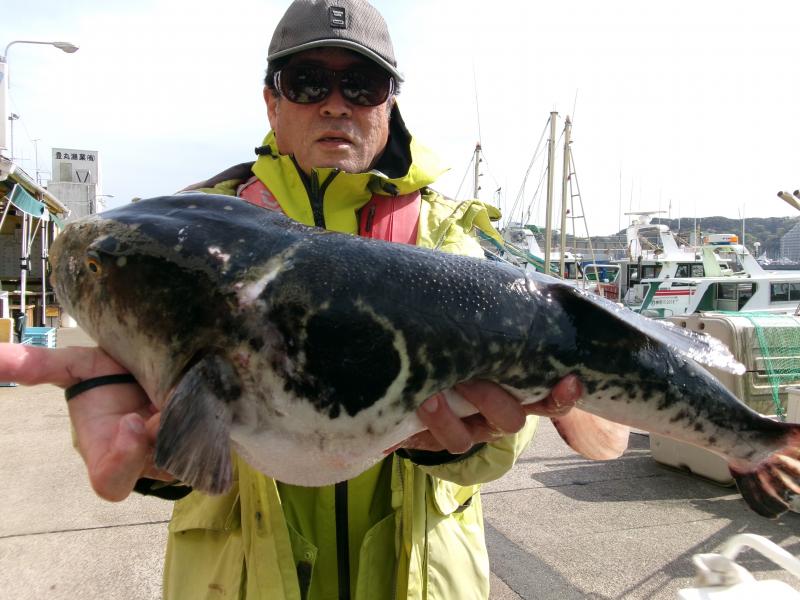 とらふぐ釣り3枚目