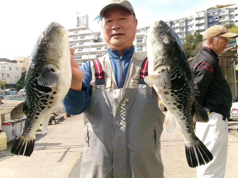 とらふぐ釣り4枚目