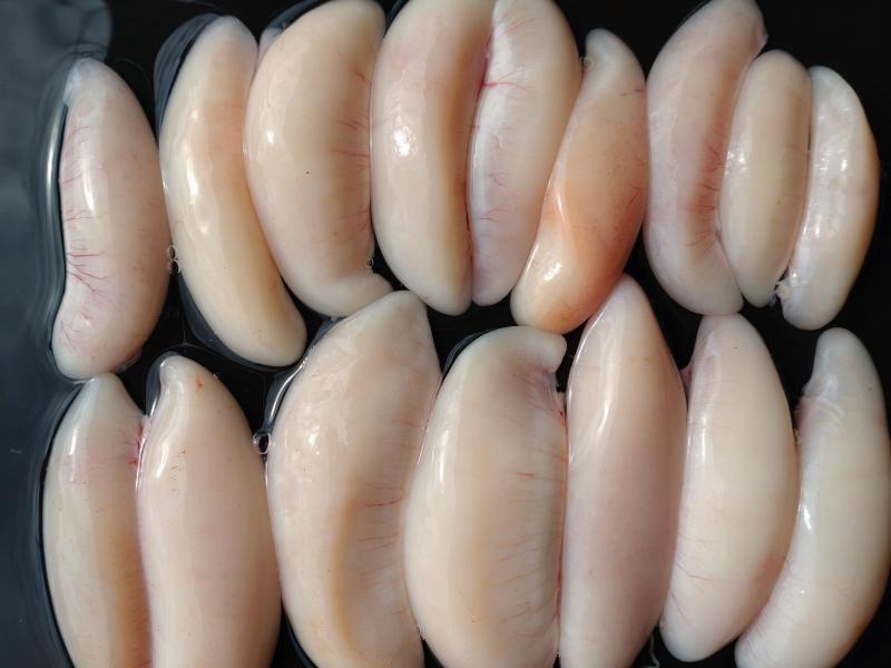 ふぐ釣り4枚目