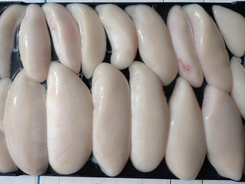 ふぐ釣り5枚目