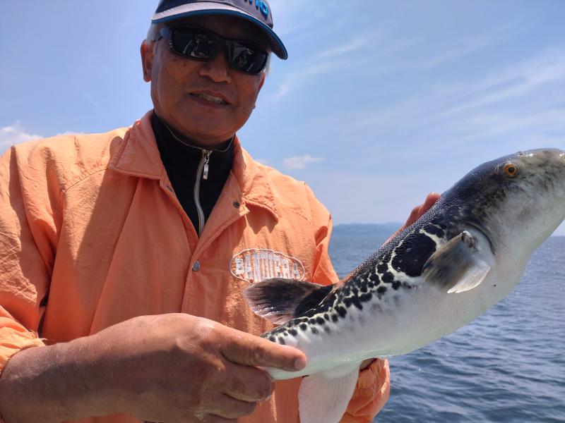 ふぐ釣り2枚目