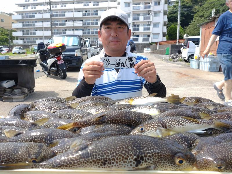 ふぐ釣り好調です！！1枚目