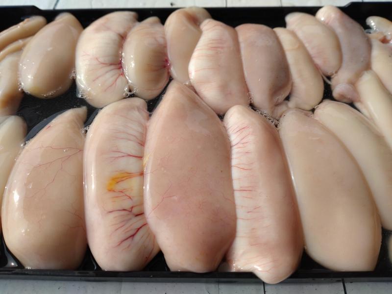 ふぐ釣り好調です！！2枚目