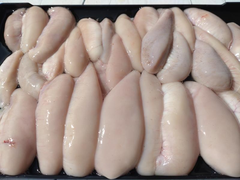 ふぐ釣り好調です！！2枚目
