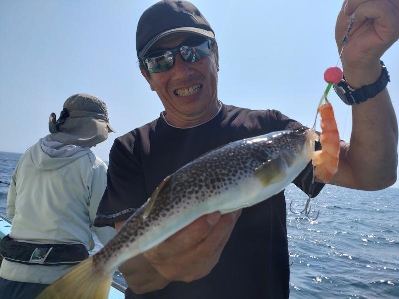 ふぐ釣り3枚目