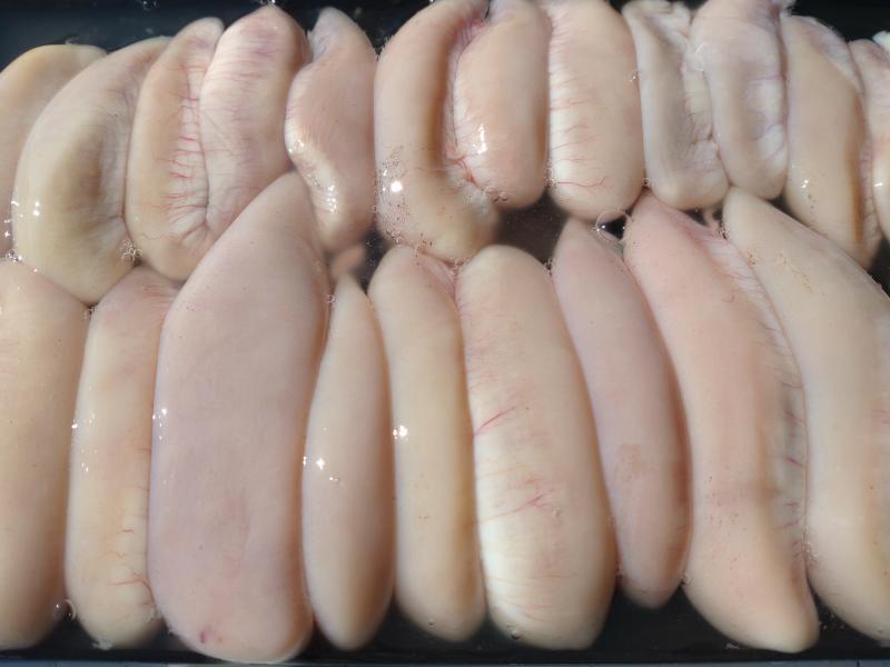 ふぐ釣り好調です！！2枚目