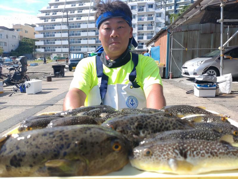 ふぐ釣り好調です！！1枚目