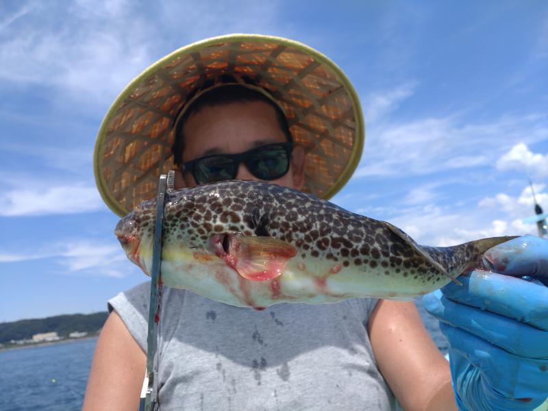 ふぐ釣り1枚目