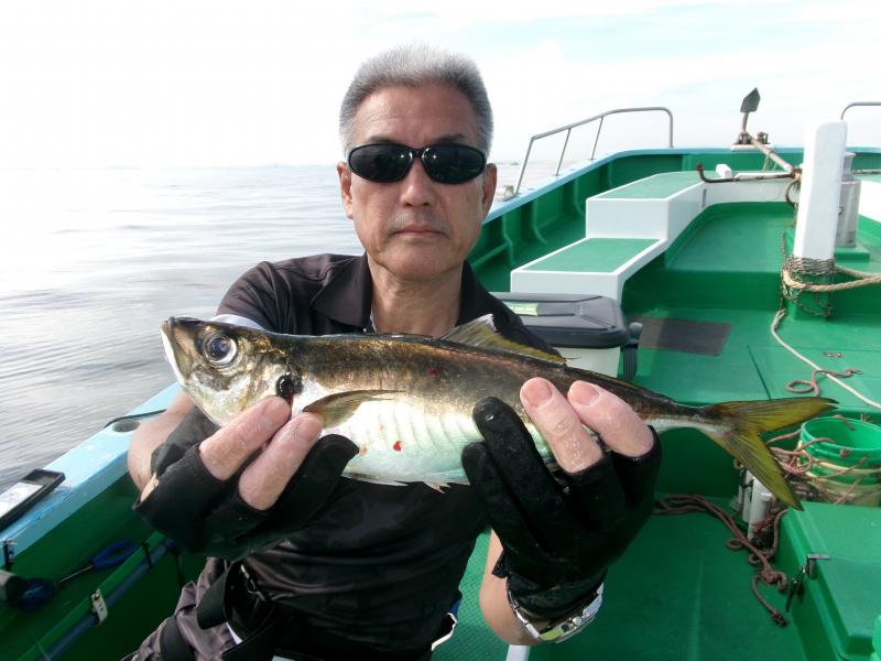 タチウオアジリレー4枚目
