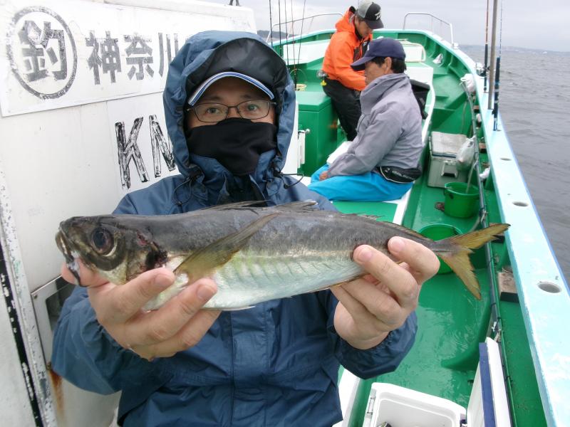 タチウオアジリレー3枚目