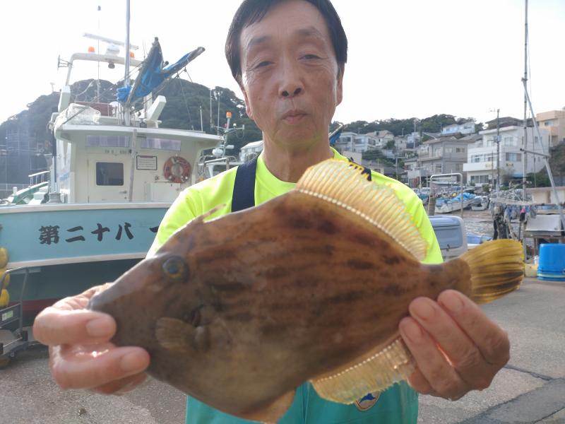 カワハギ釣り出船します。1枚目