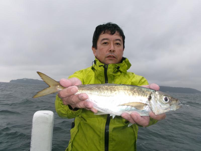 タチウオアジリレー2枚目