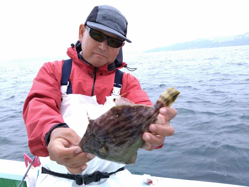 カワハギ釣り3枚目