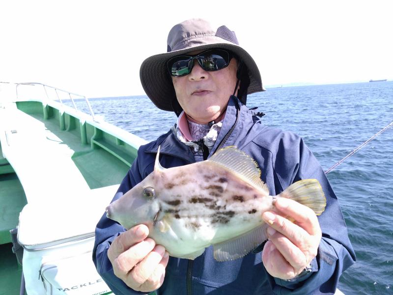 カワハギ釣り3枚目