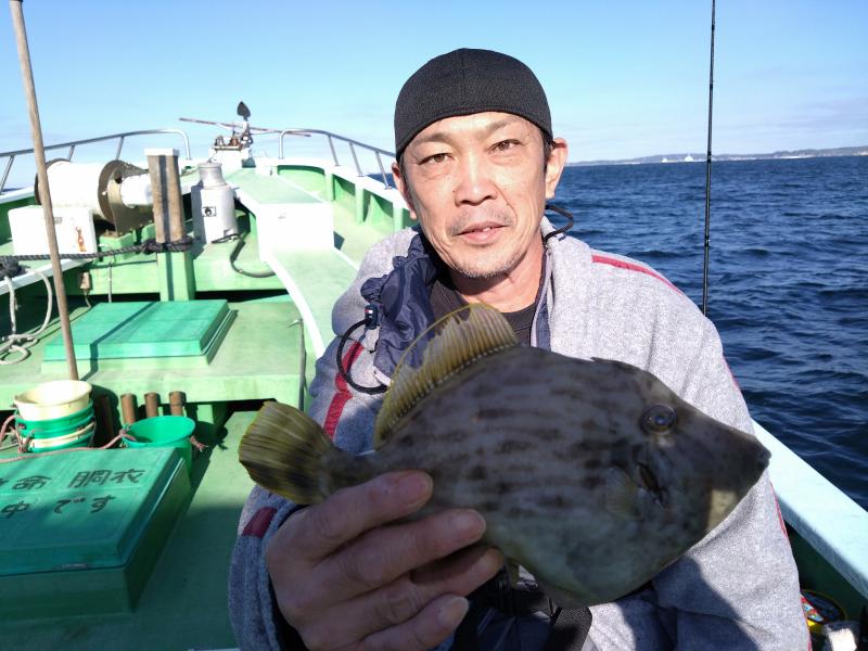 カワハギ釣り3枚目