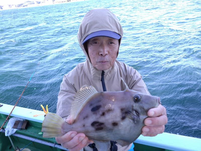 カワハギ釣り4枚目