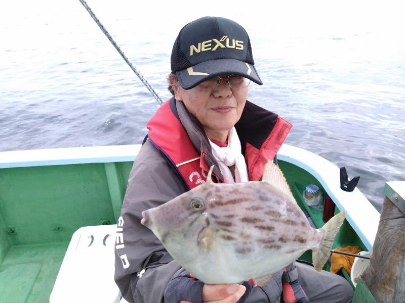 カワハギ釣り好調です！！2枚目