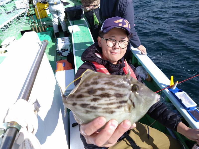 カワハギ釣り5枚目