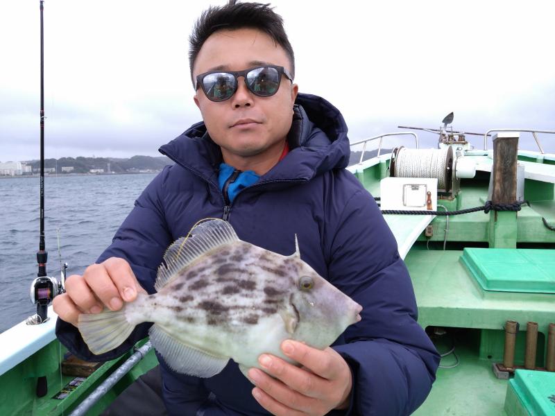 カワハギ釣り好調です！！2枚目
