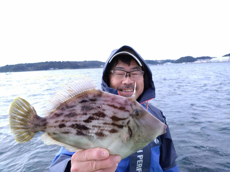 カワハギ釣り好調です！！3枚目