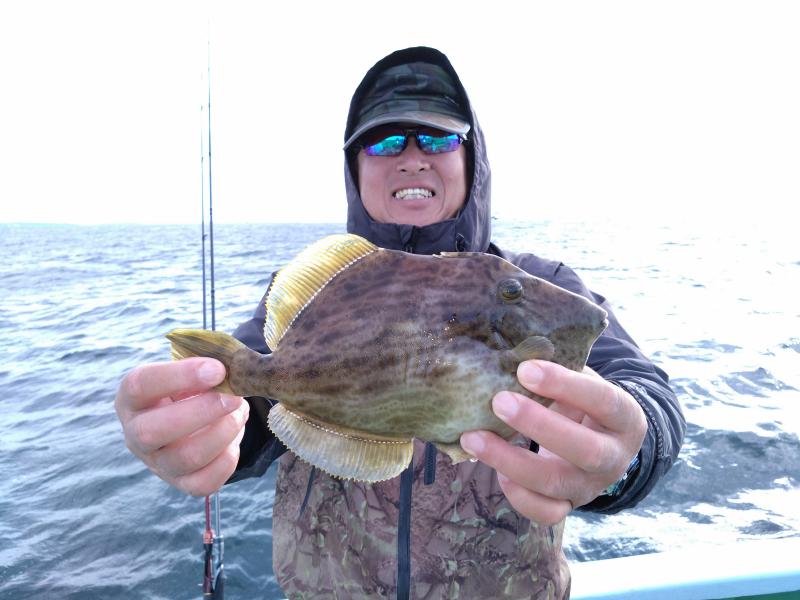 カワハギ釣り好調です！！1枚目