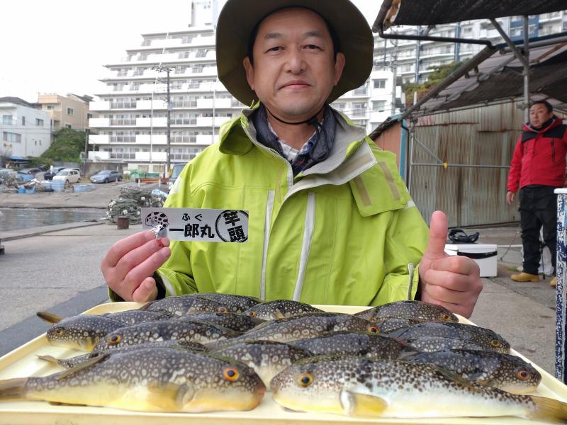 ふぐ釣り好調です！！1枚目