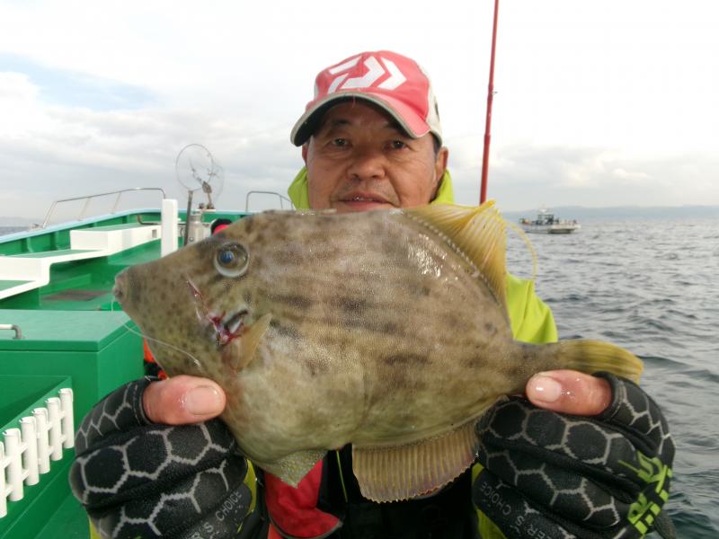 カワハギ釣り大漁です！！1枚目