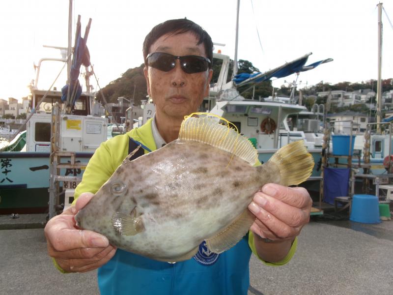 カワハギ釣り3枚目